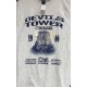 Devils Tower Shirt