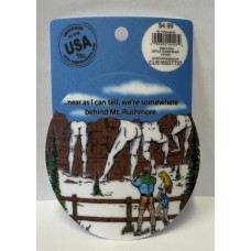Behind Mount Rushmore Sticker