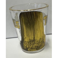 Devils Tower Wyoming EST. 1906 Shot Glass Devils Tower Wyoming EST. 1906 Shot Glass