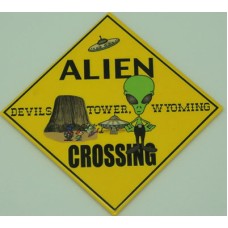 Alien Crossing Magnet